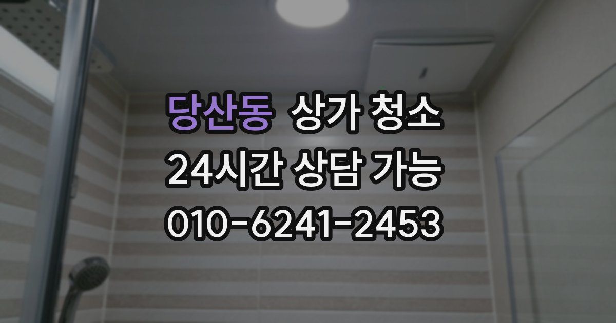 당산동 상가 청소