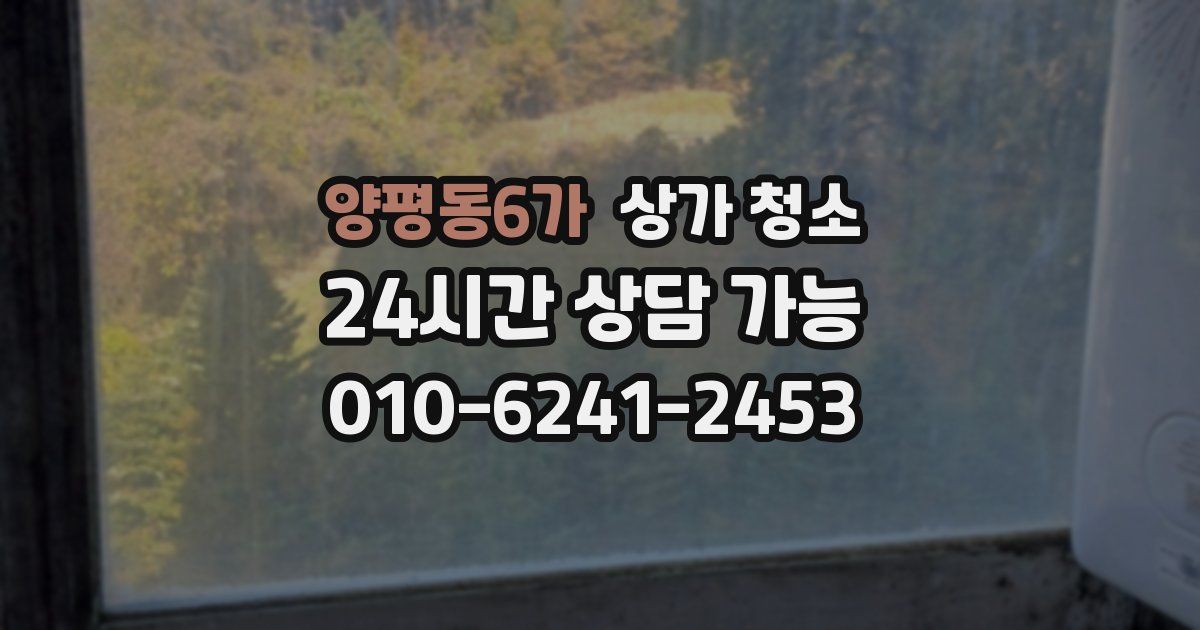 양평동6가 상가 청소