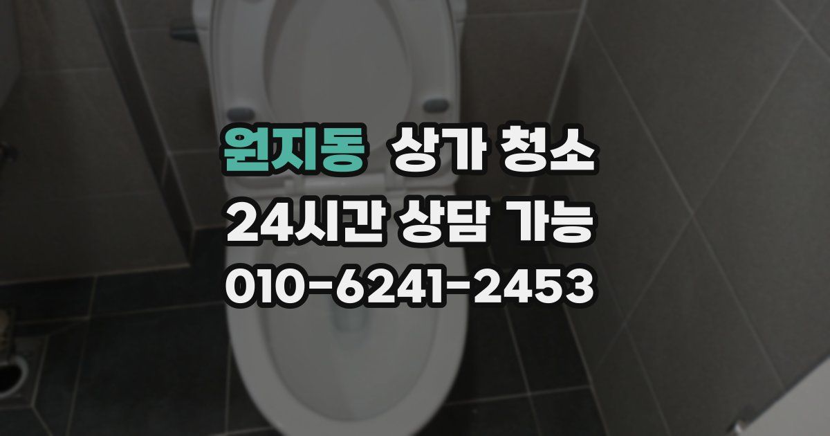 원지동 상가 청소