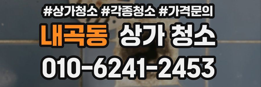 내곡동 상가 청소