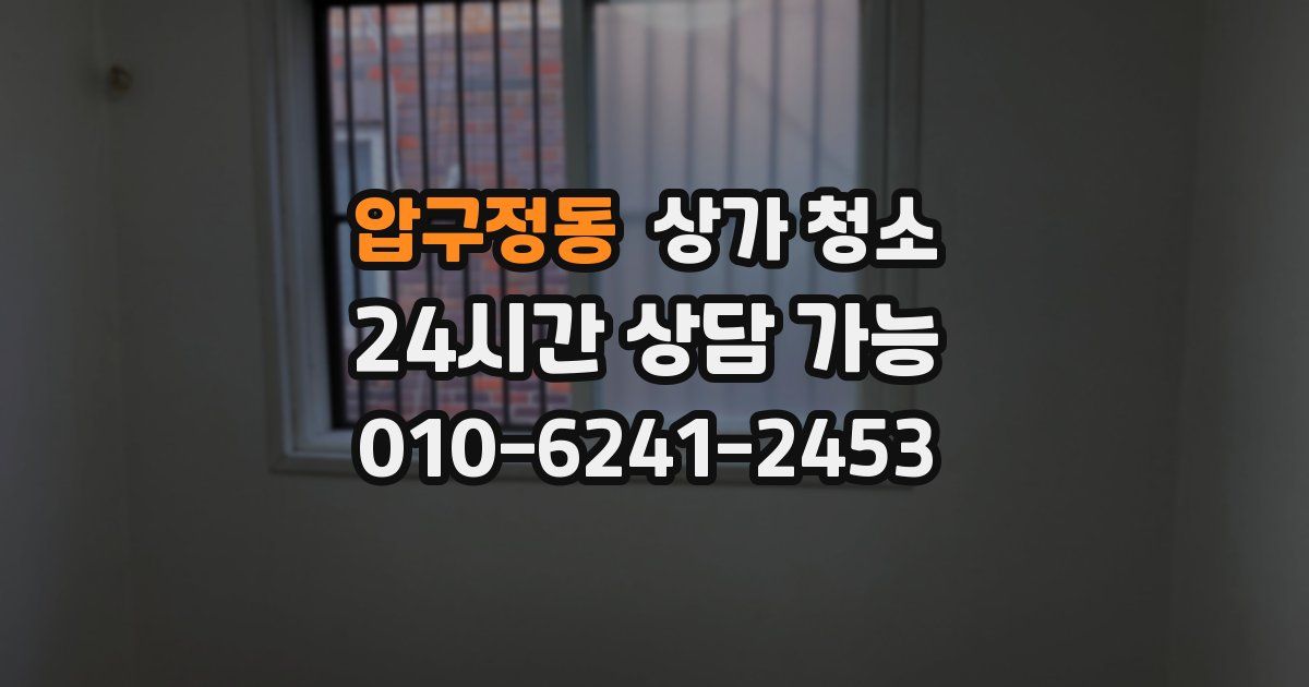 압구정동 상가 청소
