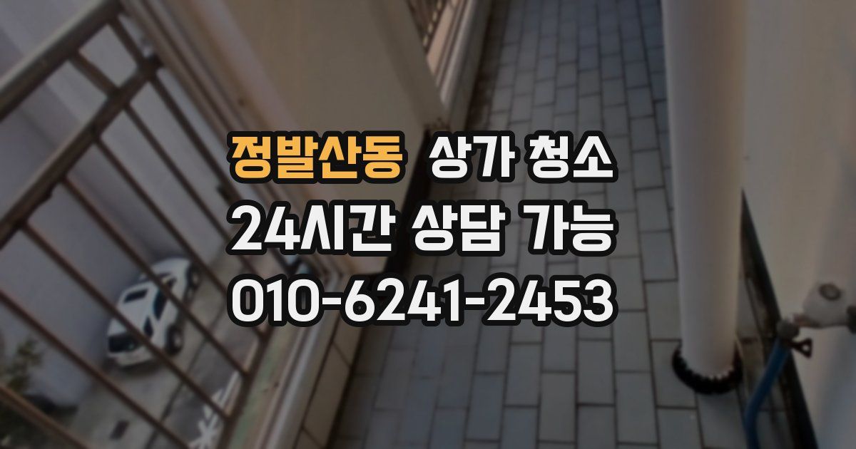 정발산동 상가 청소
