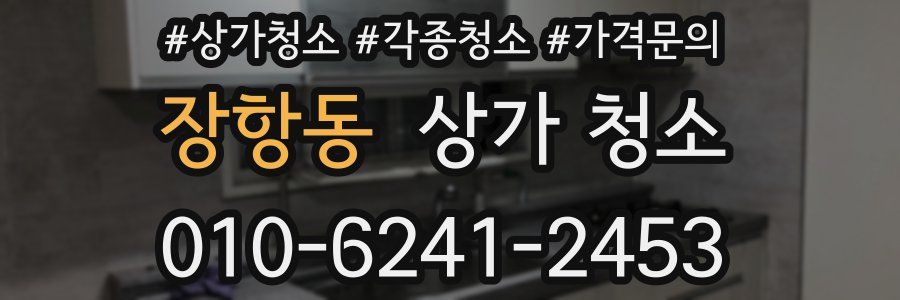 장항동 상가 청소