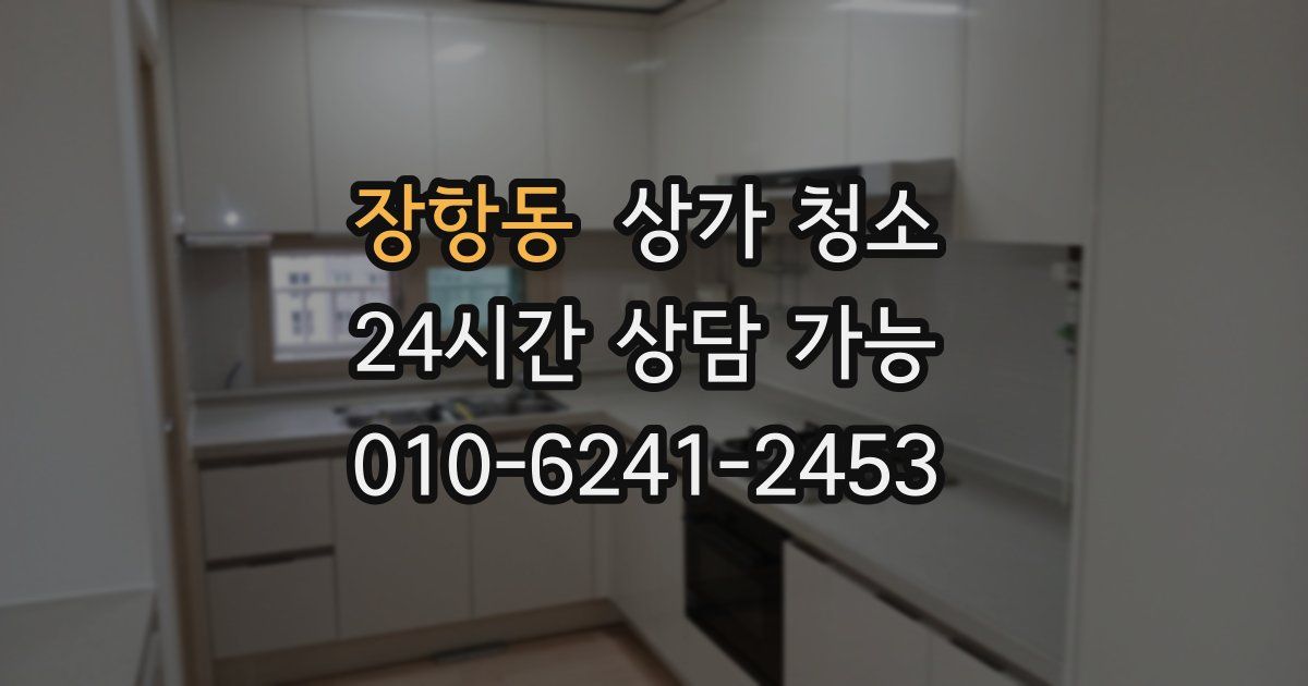 장항동 상가 청소