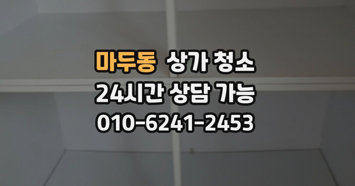 마두동 상가 청소