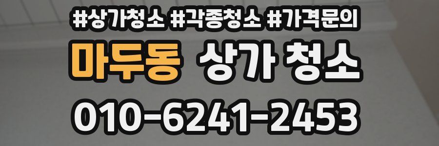 마두동 상가 청소
