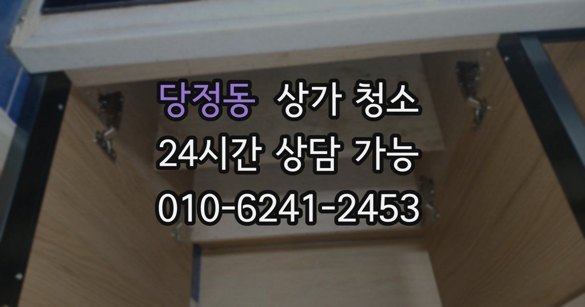 당정동 상가 청소