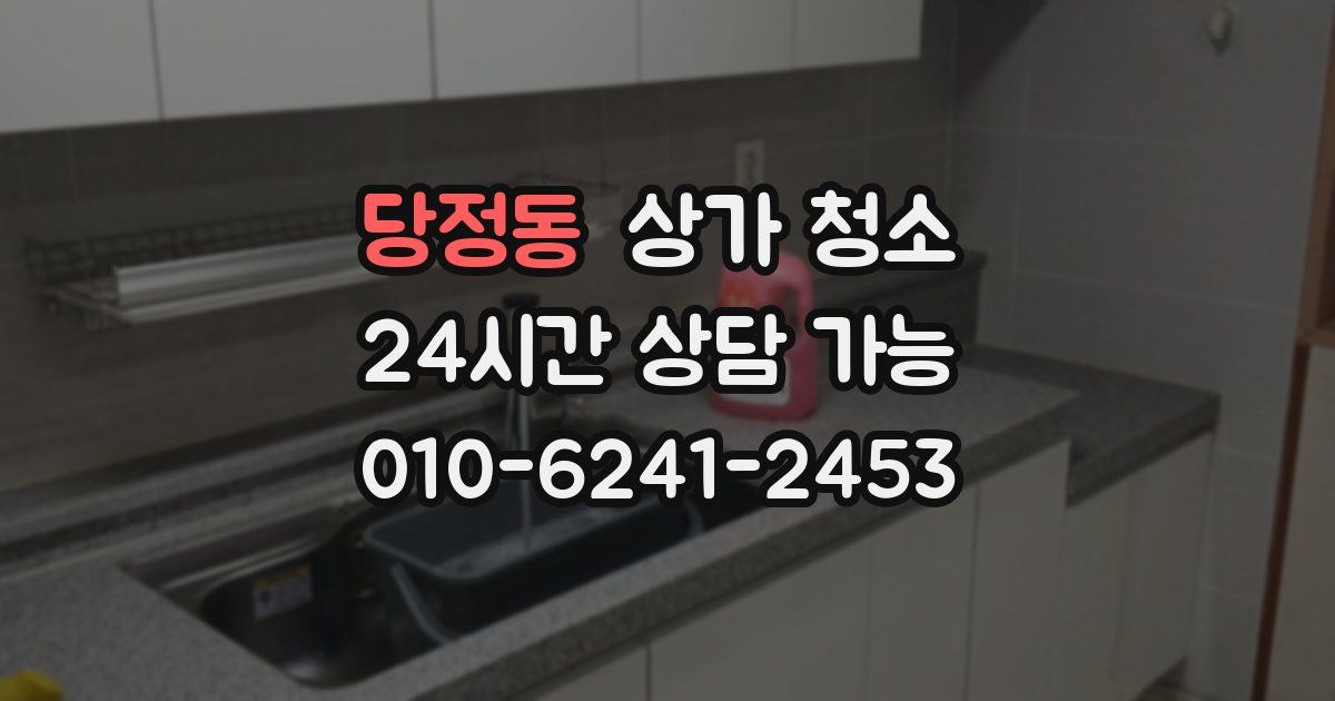 당정동 상가 청소