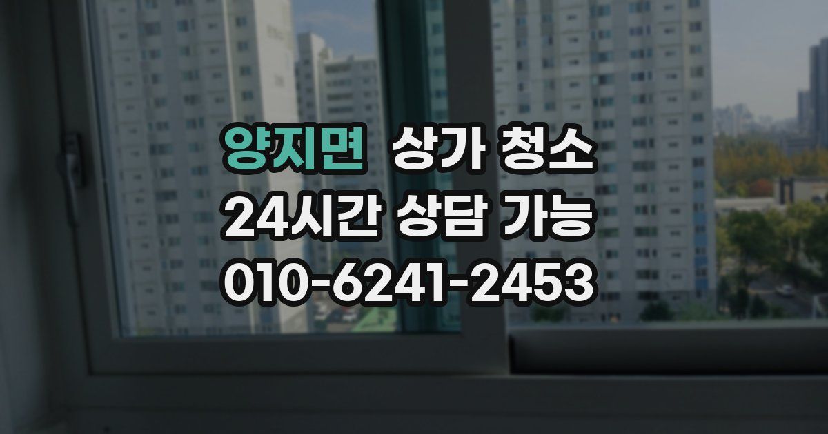 양지면 상가 청소