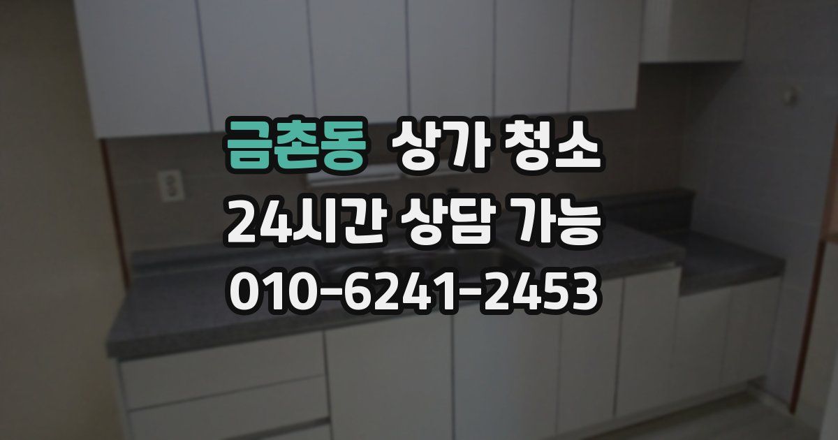 금촌동 상가 청소