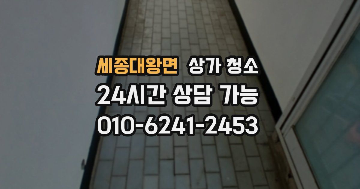 세종대왕면 상가 청소