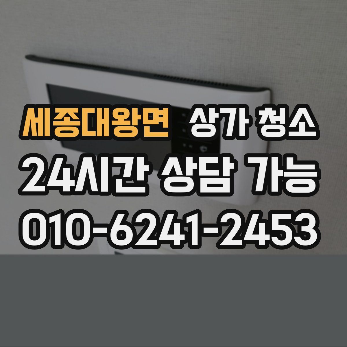 세종대왕면 상가 청소