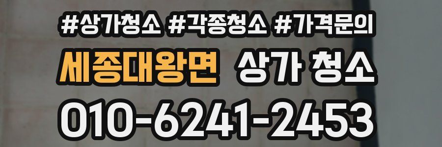 세종대왕면 상가 청소