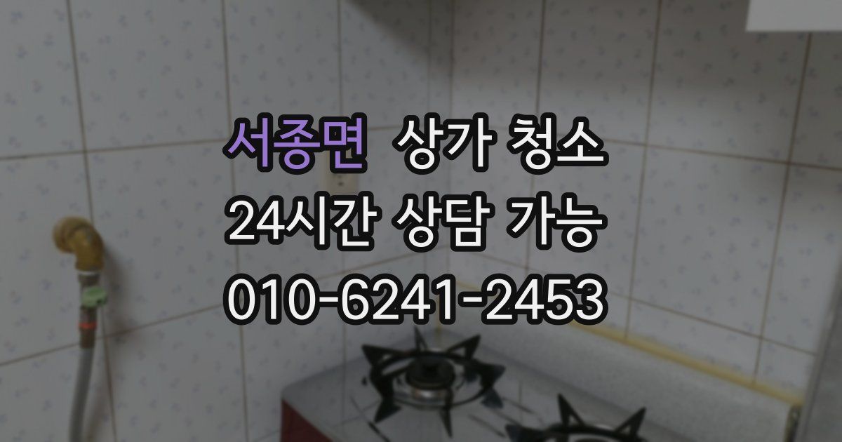 서종면 상가 청소