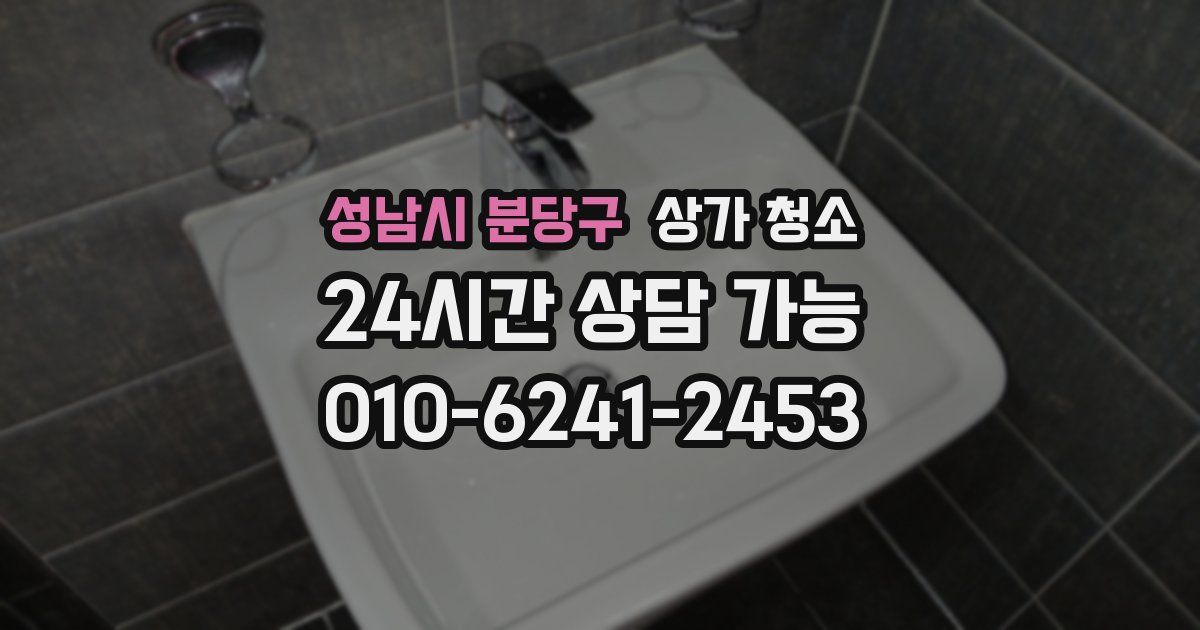 성남시 분당구 상가 청소