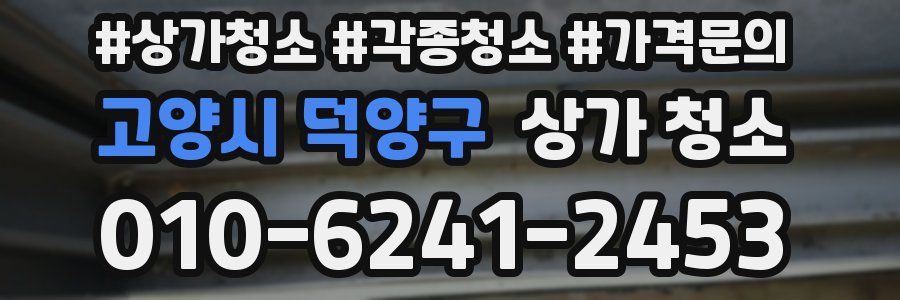 고양시 덕양구 상가 청소