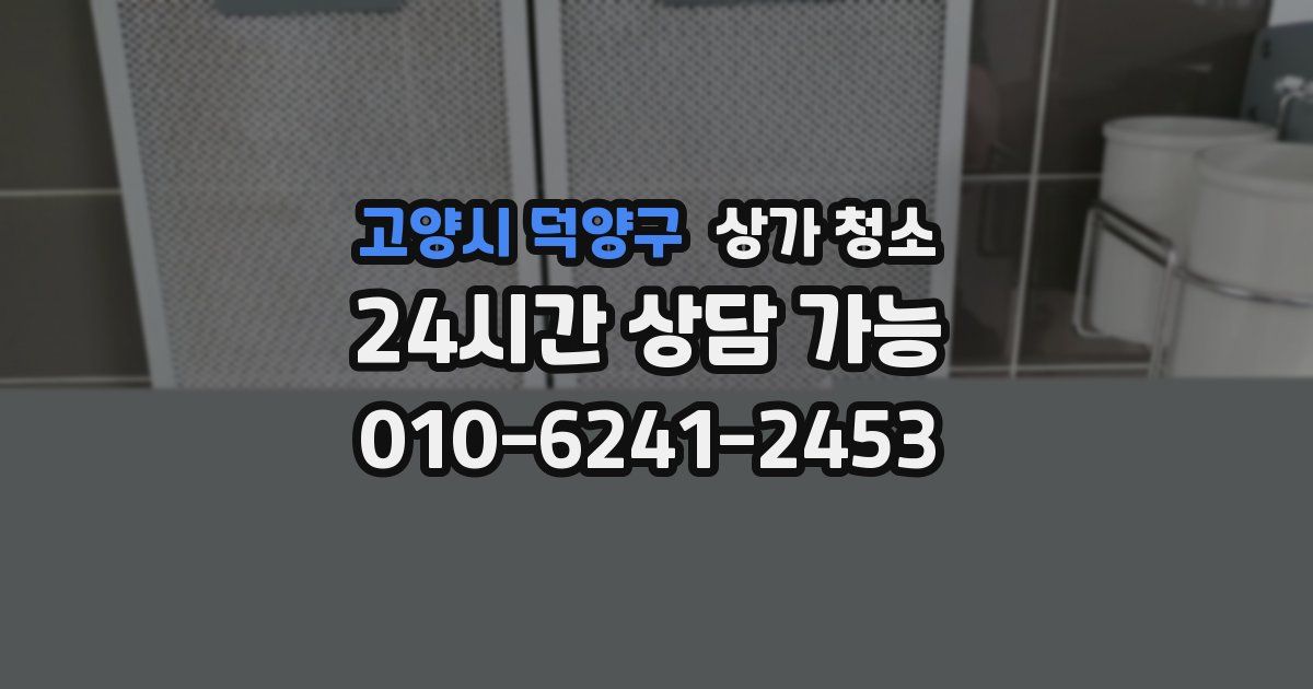 고양시 덕양구 상가 청소