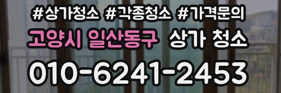 고양시 일산동구 상가 청소