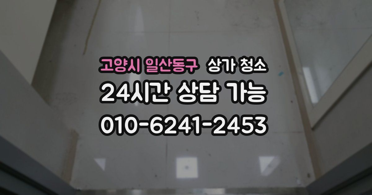 고양시 일산동구 상가 청소