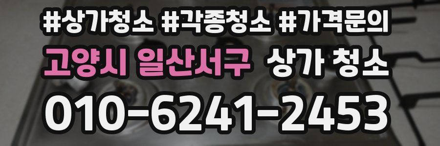 고양시 일산서구 상가 청소
