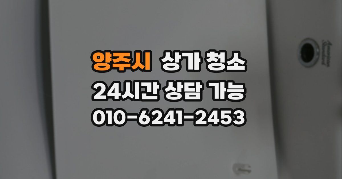 양주시 상가 청소
