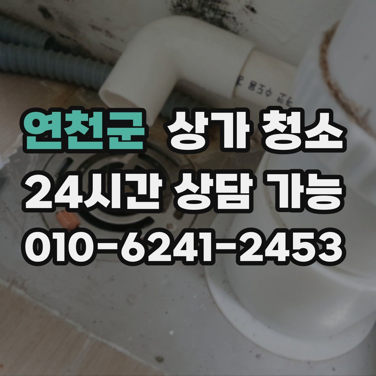 연천군 상가 청소