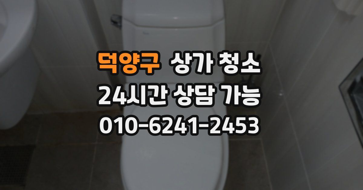 덕양구 상가 청소