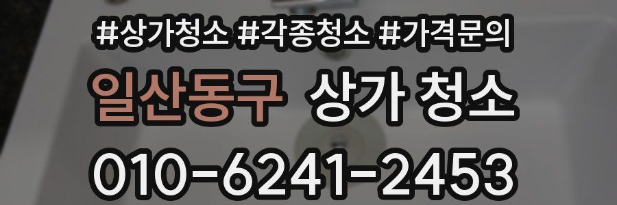 일산동구 상가 청소