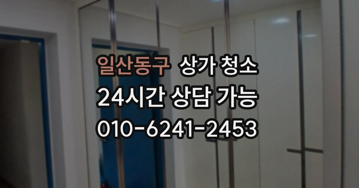 일산동구 상가 청소