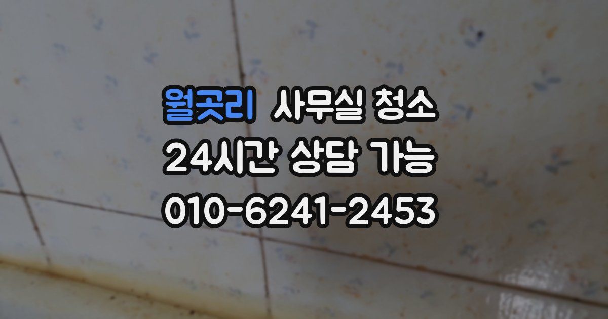 월곳리 사무실 청소