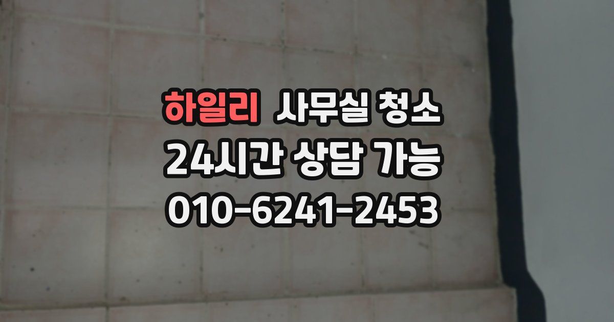 하일리 사무실 청소