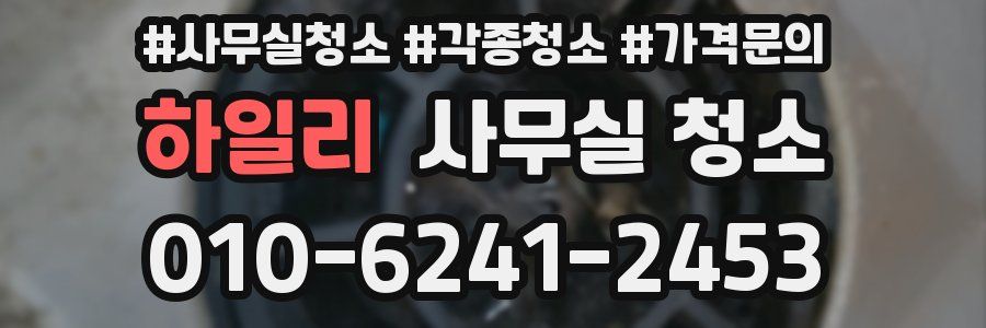 하일리 사무실 청소