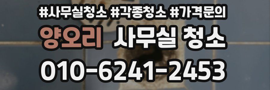 양오리 사무실 청소