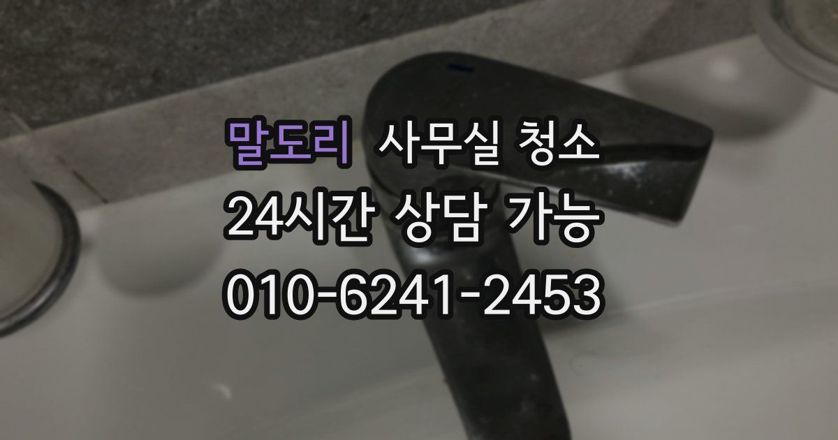 말도리 사무실 청소