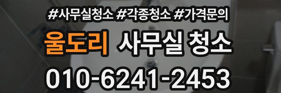 울도리 사무실 청소