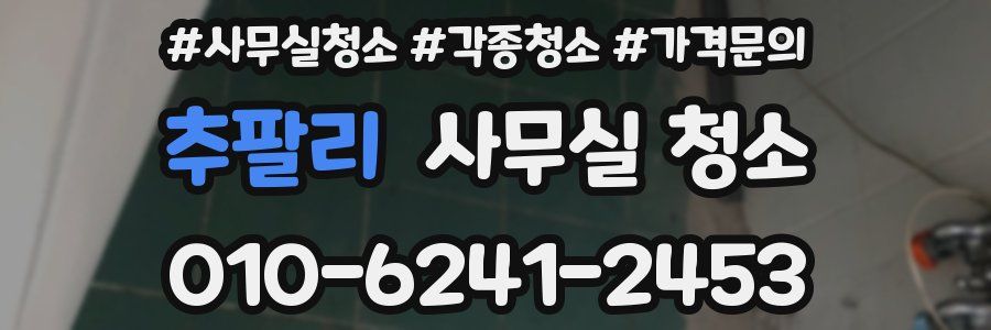 추팔리 사무실 청소
