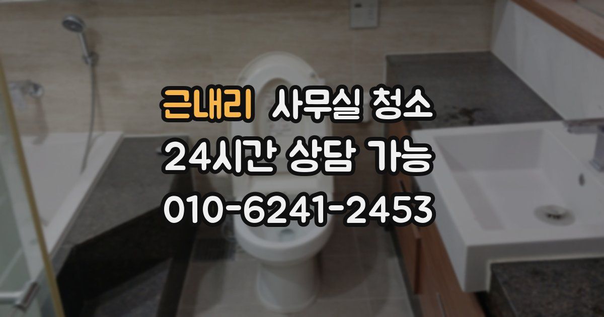 근내리 사무실 청소
