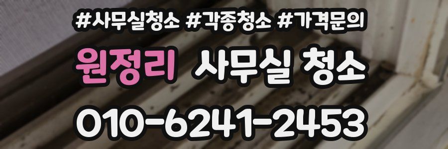 원정리 사무실 청소