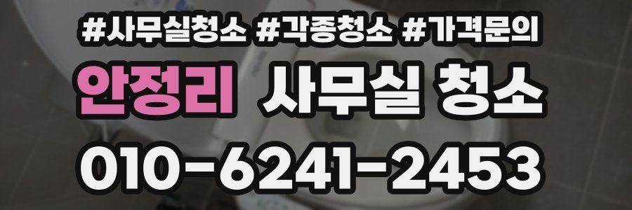 안정리 사무실 청소