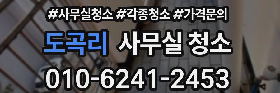 도곡리 사무실 청소