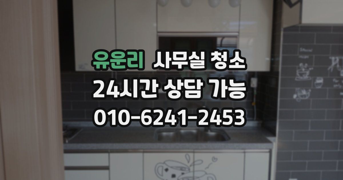 유운리 사무실 청소