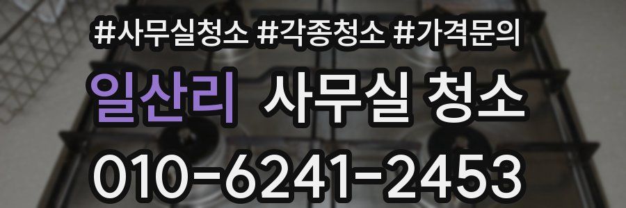 일산리 사무실 청소