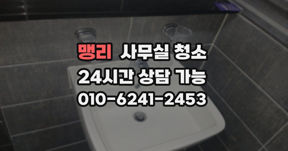 맹리 사무실 청소