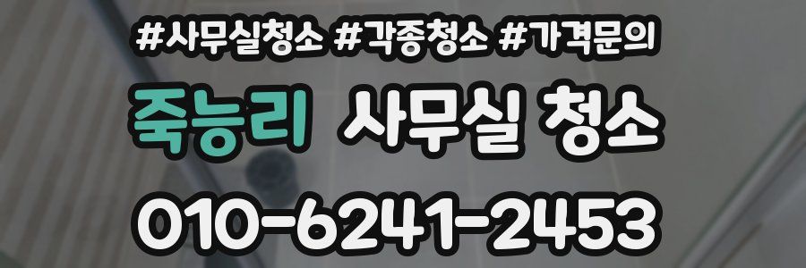 죽능리 사무실 청소
