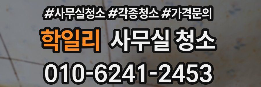 학일리 사무실 청소
