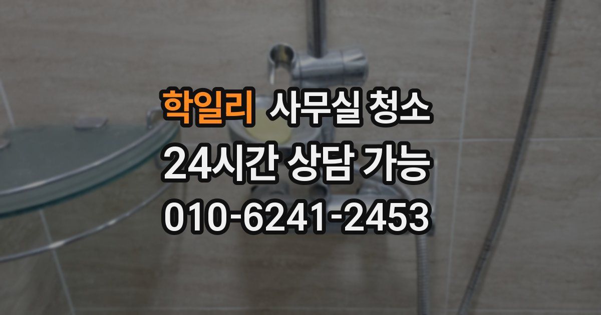 학일리 사무실 청소