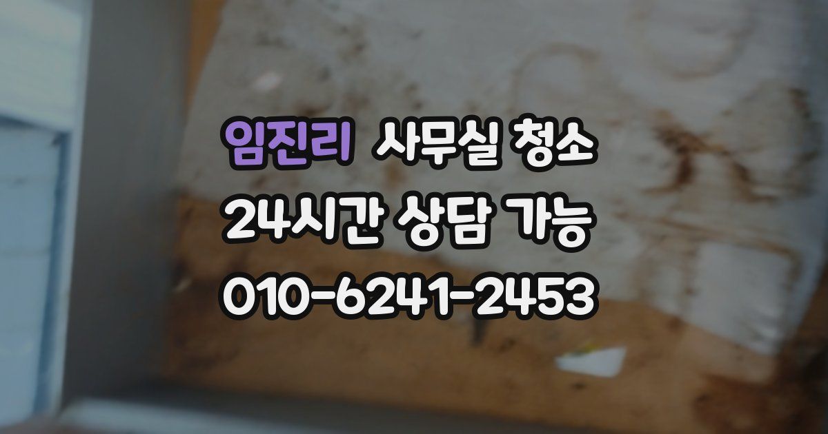 임진리 사무실 청소