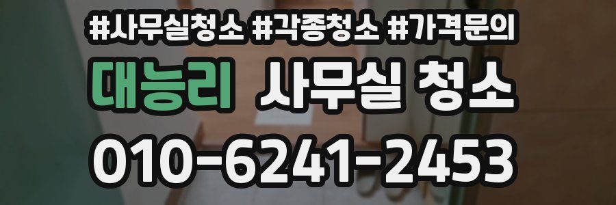 대능리 사무실 청소