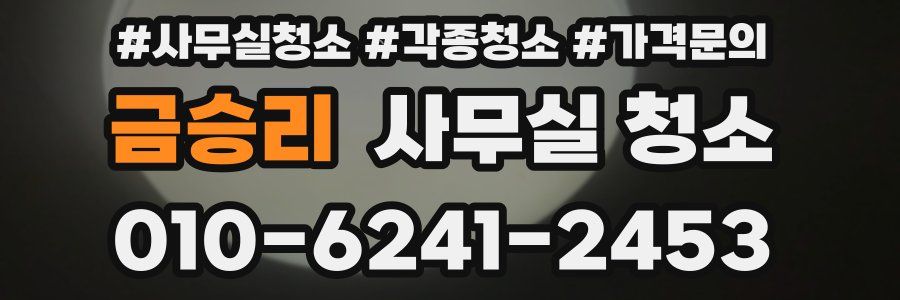 금승리 사무실 청소