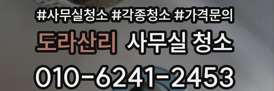 도라산리 사무실 청소